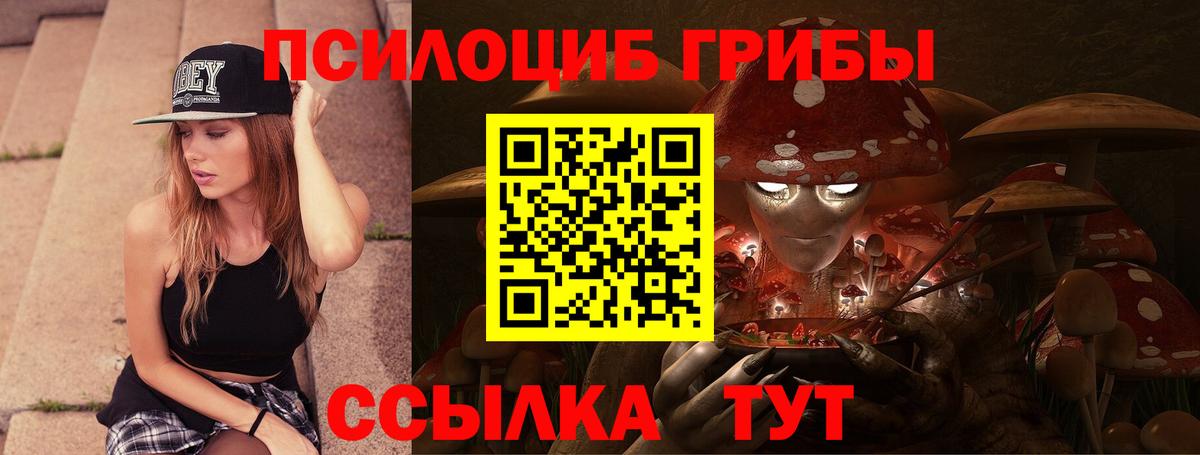 Галлюциногенные грибы мухоморы  Вход с VPN  Тамбов 