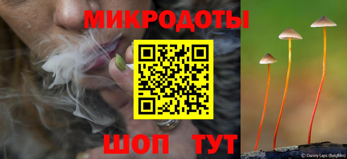 Псилоцибиновые грибы мицелий Тамбов